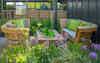 Gazeburvill RHS Chelsea Flower Show 378 A6658