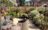 Love Your Garden Woburn Completed 2