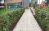 New path2