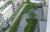 Ropemaker Roof Terrace Townshend Landscape Architects 155