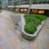 Thomas moor square london 30099704724 o